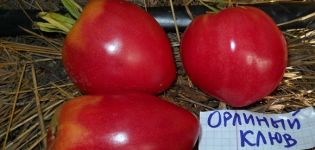 Pomidorų veislės Erelio snapas charakteristikos ir aprašymas, derlius