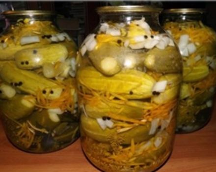 Recept för betning av gurkor i tjeckiska för vintern