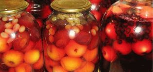 TOP 9 receptai, kaip gaminti vaisių kompotus iš žiemos