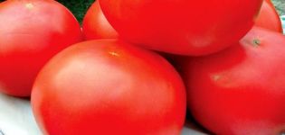 Caractéristiques de la variété de tomate Ural F1, rendement et caractéristiques de la technologie agricole