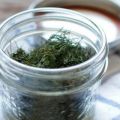 TOP 10 recipes on how to salt dill at home for the winter in jars, proportions