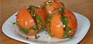 TOPP 14 recept för matlagning av armeniska tomater för vintern