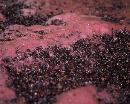 Las 5 mejores formas de detener la fermentación del vino en casa