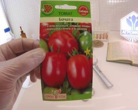 Pomidorų veislės „Bochata“ aprašymas, savybės ir auginimas