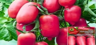 Popis odrůdy rajčat Fialová svíčka, její výnos a recenze letních obyvatel