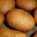 Beskrivning av potatissorten Kiwi, dess egenskaper och utbyte