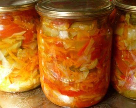 8 bästa recept för marinerad zucchini med kål för vintern