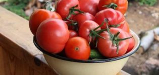 Granskning av de bästa tomatsorterna i Saratov-regionen