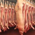 Tabla para calcular el rendimiento de carne de cerdo a partir del peso vivo, cómo medir y calcular mediante la fórmula.