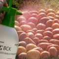 Vaisto „Tabu“ vartojimo instrukcijos Kolorado bulvių vabalui gydyti