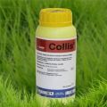 Instructies voor het gebruik van het fungicide Collis, werkingsmechanisme en consumptiegraden