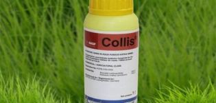 Fungicīda Collis lietošanas instrukcijas, darbības mehānisms un patēriņa rādītāji