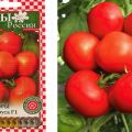 Description of the variety of tomatoes Scarlet sails and their characteristics