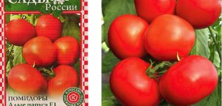 Pomidorų veislės aprašymas Scarlet buros ir jų savybės