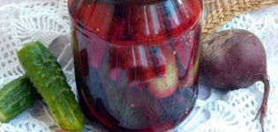 Ett steg-för-steg recept för inlagda gurkor med rödbetor för vintern