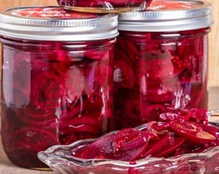 9 najlepších receptov na zber repy borschtovej na zimu doma