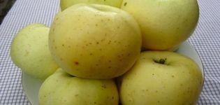 Opis odrody a výnosov jabĺk žltého cukru, história rozmnožovania a pestovateľské oblasti
