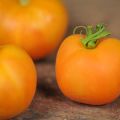 Karakteristike i opis sorte rajčice Breskva, njen prinos
