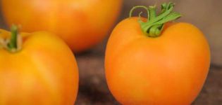 Kenmerken en beschrijving van de tomatenvariëteit Perzik, de opbrengst