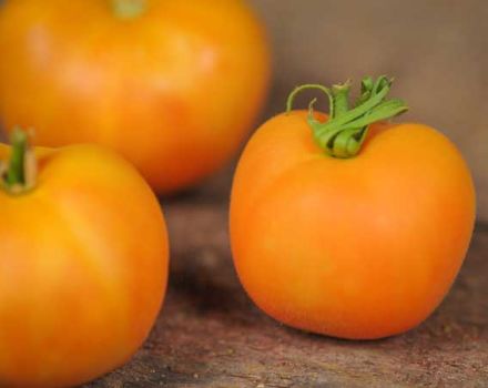 Egenskaper och beskrivning av tomatsorten Peach, dess utbyte
