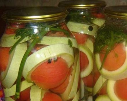 TOP 5 besten Rezepte zum Einmachen von Zucchini mit Tomaten für den Winter