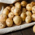 Fördelarna med och skadorna på unga potatisar, hur man kan spira och när man planterar