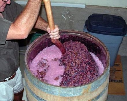 8 enkle opskrifter til fremstilling af vin fra druer derhjemme