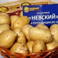 Nevsky bulvių veislės aprašymas, jo savybės ir derlius