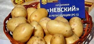 Description of the potato variety Nevsky, its characteristics and yield