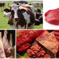 Табела приноса просечног нето говеђег меса на основу живе масе
