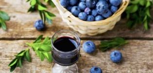 15 bästa blåbärrecept för vintern
