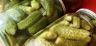 Žingsnis po žingsnio marinuotų agurkų receptas žiemai „Nostalgia“