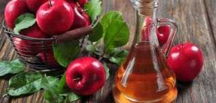 TOP 5 galimybės pakeisti konservuotą obuolių sidro actą