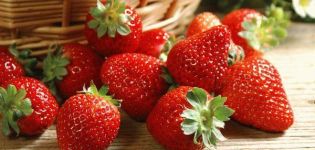 TOP 13 interessante recepten voor het bereiden van aardbeien voor de winter