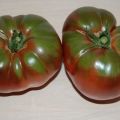 Tomaattilajikkeiden kuvaus Brandywine musta, keltainen, vaaleanpunainen ja punainen