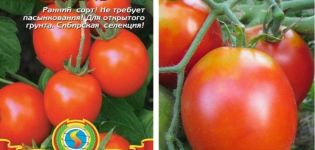 Pomidorų veislės Aquarelle aprašymas ir jos savybės