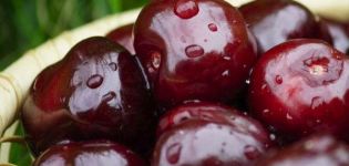 Priežastys, kodėl vyšnios neduoda vaisių ir ką daryti gydymui