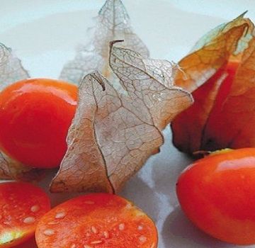 Proprietăți utile și vătămarea fizalisului de căpșuni, tipuri și metode de aplicare