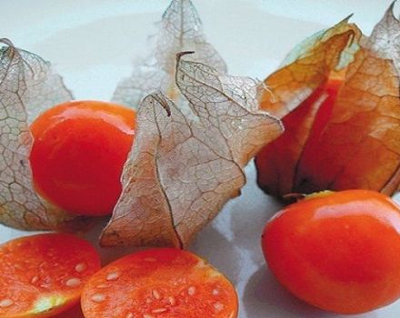 Useful properties and harm of strawberry physalis, types and methods of application