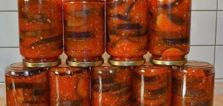 TOP 10 labāko baklažānu recepšu tomāti ziemai ar un bez sterilizācijas