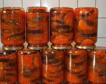 TOP 10 bästa auberginerecept i tomat för vintern, med och utan sterilisering