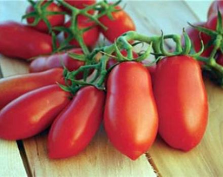 Charakteristika a popis odrůdy rajčat Olíznete si prsty, její výnos