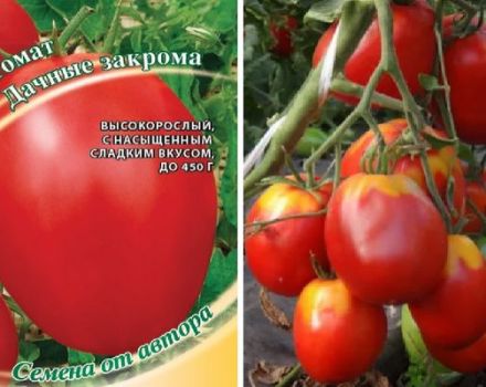 Beschrijving van het tomatenras Landbakken en zijn kenmerken