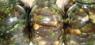 Recept för att laga mat marinerade aubergine i aserbajdsjan stil för vintern