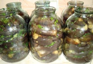 Mga resipe para sa pagluluto ng mga pinalamig na eggplants sa estilo ng azerbaijani para sa taglamig