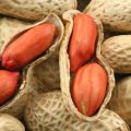 Opis odrôd a druhov arašidov, užitočné a škodlivé vlastnosti, výsadba a starostlivosť