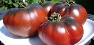 Negritenok pomidorų veislės savybės ir aprašymas, derlius