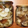 TOP 10 recipes for boletus marinated for the winter in a hot and cold way at home