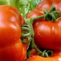 Pomidorų malonumo aprašymas ir savybės, produktyvumas
