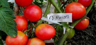 Opis odrody paradajok O La La a jej vlastnosti